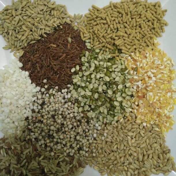 Top 2 máy trộn thức ăn cho gà tốt nhất trên thị trường hiện nay 2 Top 2 máy trộn thức ăn cho gà tốt nhất trên thị trường hiện nay 1